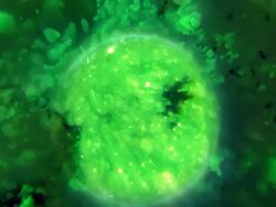 abstract planet HD1080 Stock Footage