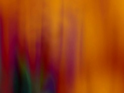 Horrorified Stock Footage