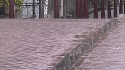 Canals and people cycling in rain in Amsterdam News Clip