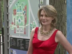 The Wildlife Conservation Society Safari! India Gala Stock Footage