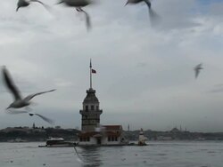 Maiden Tower And Seagulls Stock Footage