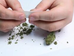 Marijuana Stock Footage