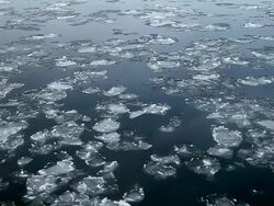 Ice floats and moves on water Stock Footage
