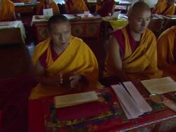 MS PAN Kopan monks chanting in unison / Kathmandu, Central, Nepal Stock Footage