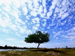 Moving clouds Timelapse Stock Footage