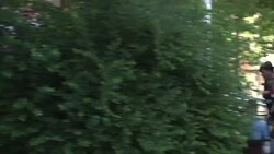 General manager of mining company which owned mine in which 301 miners died is arrested News Clip