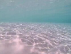 MS POV Shot of Sand to reef / Hanifaru, Baa Atoll, Maldives    Stock Footage
