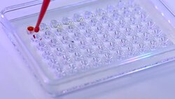 Researchers working in laboratory Stock Footage