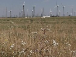 wild steppe and wind turbines Stock Footage