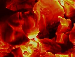 Glowing Coal Fire Stock Footage