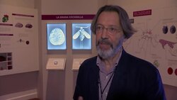 How one tiny insect revolutionised the art world. News Clip