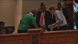 Zuma supporters clash with environmentalists at COP17 News Clip