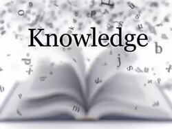 Education. White version. Stock Footage