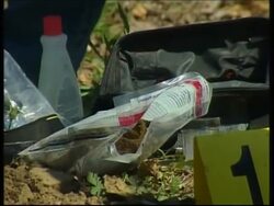 Former high ranking agriculture official charged with cruelty to animals News Clip