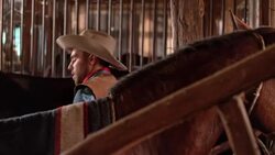 DS Herdsman saddling his horse in stable Stock Footage
