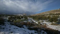 Time Lapse, Judea Mountains with olive trees in winter snow / West bank, palestine Stock Footage