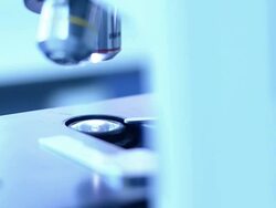 Scientist and bio lab experiment Stock Footage