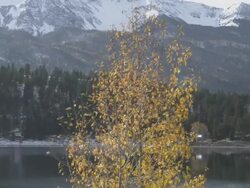 WS PAN View of Lake Wallowa glistens on sunny winter day with snowy mountains rising steeply, From Oregon's "Little Switzerland" / Joseph, Oregon, United States Stock Footage