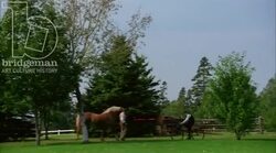Boy biking through scenic town, past farm and chapel, 1908 - reenactment Stock Footage
