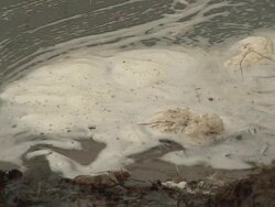 Water Pollution / Foam - HD & PAL Stock Footage