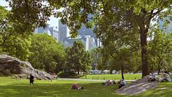 Central park in New York Stock Footage