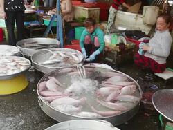MS Sellers at fish market / Hanoi, Vietnam Stock Footage