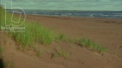 Static shot of beach, horizon in background, grass in foreground Stock Footage