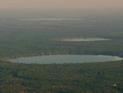 WS AERIAL View of forest and lake / North Carolina, United States Stock Footage