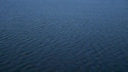 Tilt up from river to reveal Alabama wetlands outside of Mobile. Stock Footage
