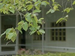 Closed Hospital Stock Footage