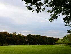 HD:Park and green lawn Stock Footage