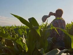WS CS Farmer Wiping His Forehead Stock Footage