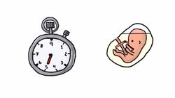 Do Fetuses Poop? Instructional Video