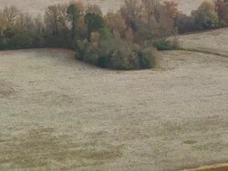 WS AERIAL View of field area / South Carolina, United States Stock Footage