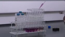 VOICED : Superalimentos andinos amenazados por sobreproduccion News Clip