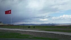 Horses on a abandoned soccer field with huge flag of Turkey in Eastern Anatolia. Stock Footage