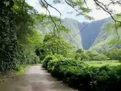 WS POV T/L View of car running through Waipio Valley with Hiilawe Fall at back of valley / Waipio, Hawaii, USA Stock Footage