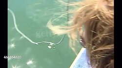 Shark diving off the coast of Gansbaai News Clip