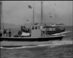 ""BIG FISH"" AMONG THE TRAWLERS News Clip