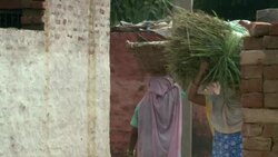 CLEAN : New law to ban Indias untouchable News Clip