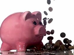 CU SLO MO Euros falling on piggy bank against white background / Vieux Pont, Normandy, France Stock Footage