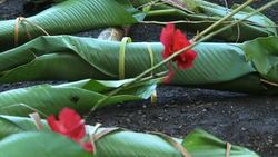 Traditional dance on the islands of Vanuatu News Clip