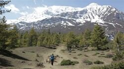 Woman Hiker Walking in Annapurna Trek, Nepal Stock Footage
