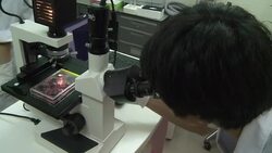 VOICED : Getto la fuente de la eterna juventud News Clip