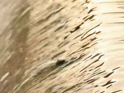 Water flow Stock Footage