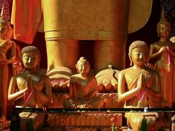 MS Shot of golden Buddhist statues / Luang Prabang, Laos Stock Footage