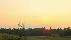 Time-lapse: Sunset and forest, Thailand Stock Footage