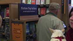 CLEAN : Amazon opens first brick and mortar bookstore News Clip