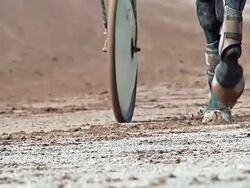CU TS SLO MO Shot of Harness racing at Racecourse / Caen, Normandy, France Stock Footage