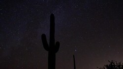 The Milky Way drifts above saguaro cacti in Saguaro National Park, Arizona. Stock Footage